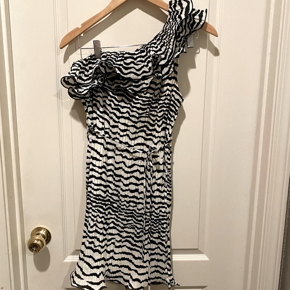 Zebra print Mini Dress